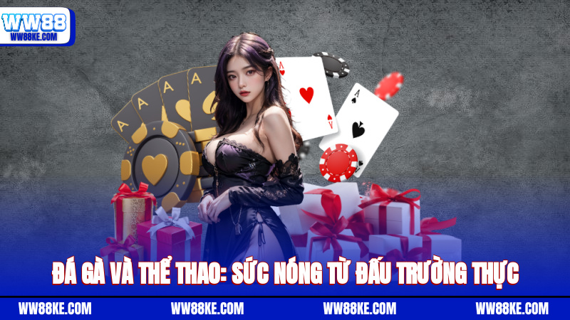 Đá gà và thể thao: Sức nóng từ đấu trường thực